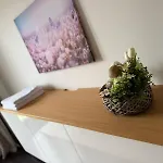 Luxury Prague House